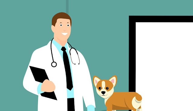 Life-Threatening Dog Diseases to Avoid