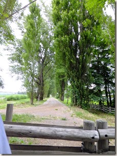 DSCF7329
