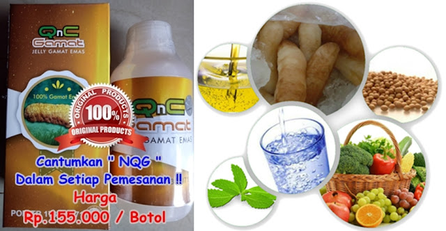 Agen Resmi Qnc Jelly Gamat Liwa Kabupaten Lampung Barat