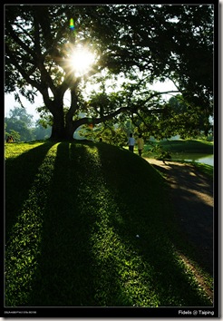 taiping lake3