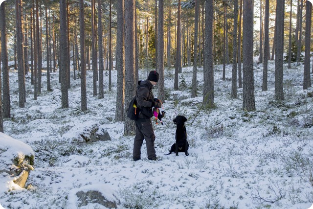 Tra╠êning vid skjutbanan 36