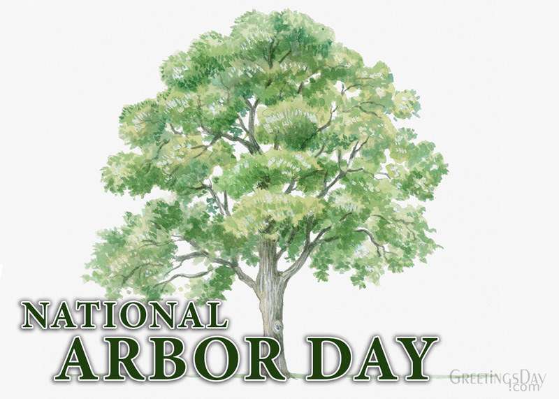 National Arbor Day Wishes for Whatsapp