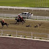 Presidente de turkmenistan cae del caballo tras ganar carrera