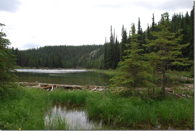 06-27-09 Horseshoe Lake Trail 017