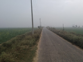 Images of Village: आज भी गाँव में ही हरियाली और खुशहाली है