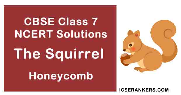 NCERT Solutions for Class 7th English Poem The Squirrel