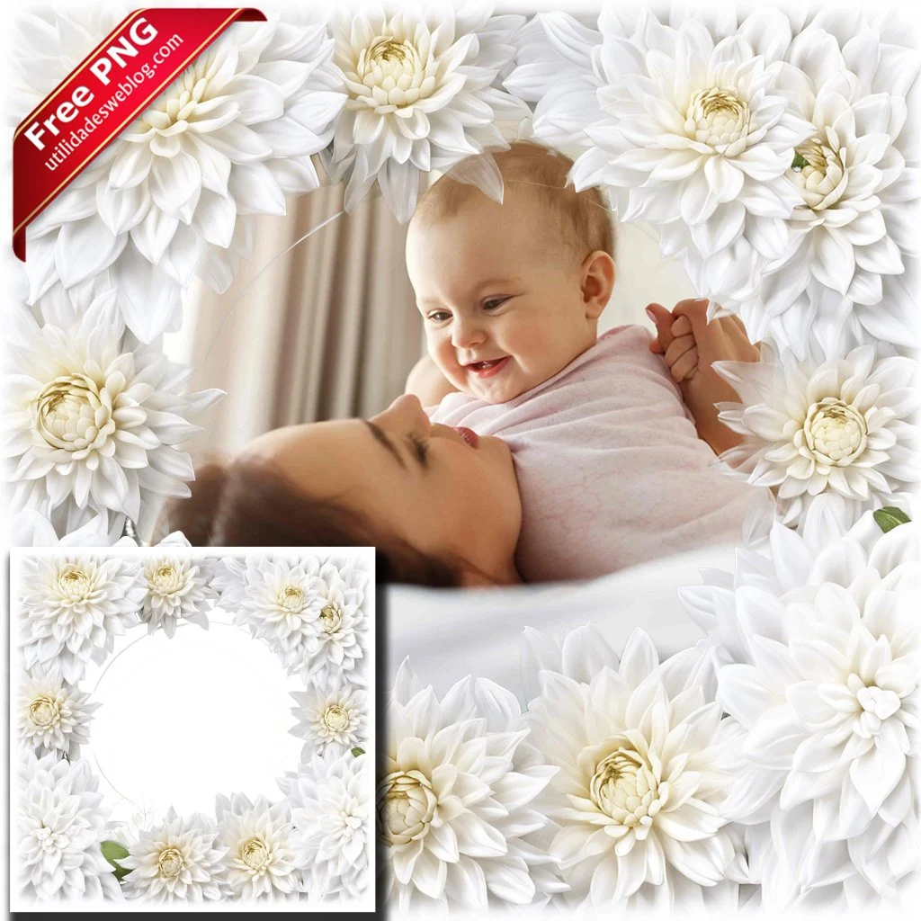 marco para fotos con flores de daffodil o narcisos blancos en png con fondo transparente para descargar gratis