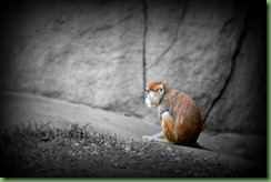 IMG_3313jhgfd
