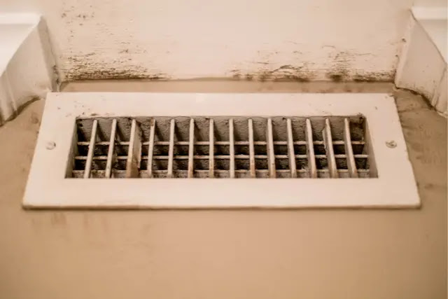 how-do-roaches-get-into-my-air-vents