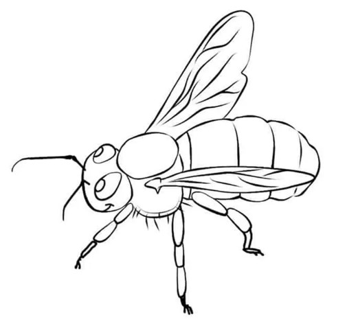 Bee Coloring Pages PDF for Adults Kids