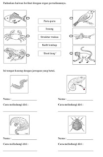 Koleksi Latih Tubi Sains Mengikut Tajuk - BAHAN SEKOLAH RENDAH