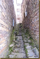 24-DSC_9656