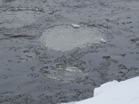 ice on the Muskegon River
