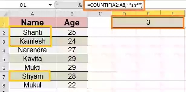 countif with wildcard, countif with asterisk
