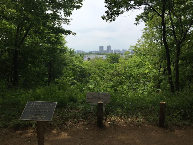 浅間山公園の冨士見百景