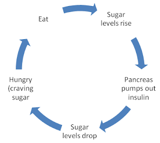 lingkaran insulin - glukosa