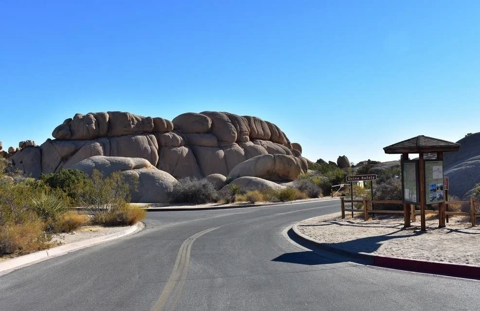 Joshua Tree National Park Southeastern California 6