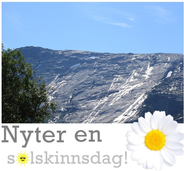 nyter en solskinnsdag