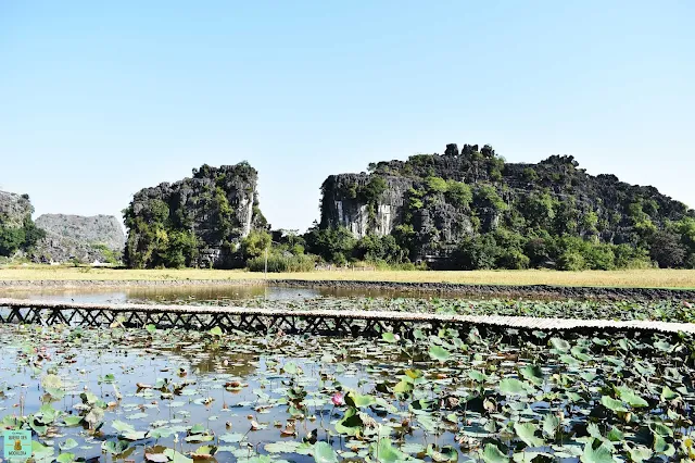 Qué ver en Ninh Binh, Vietnam