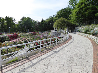 花博記念公園鶴見緑地のバラ園