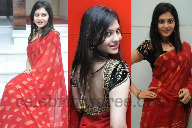 Vibha Natrajan Red Saree