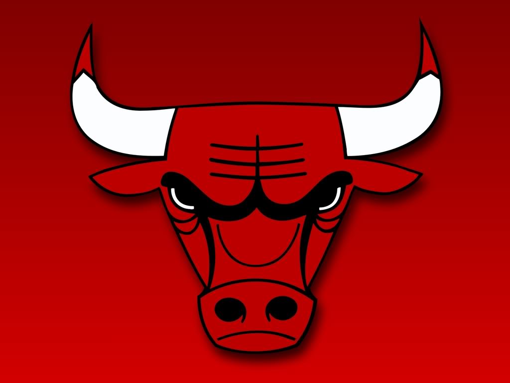 chicago bulls