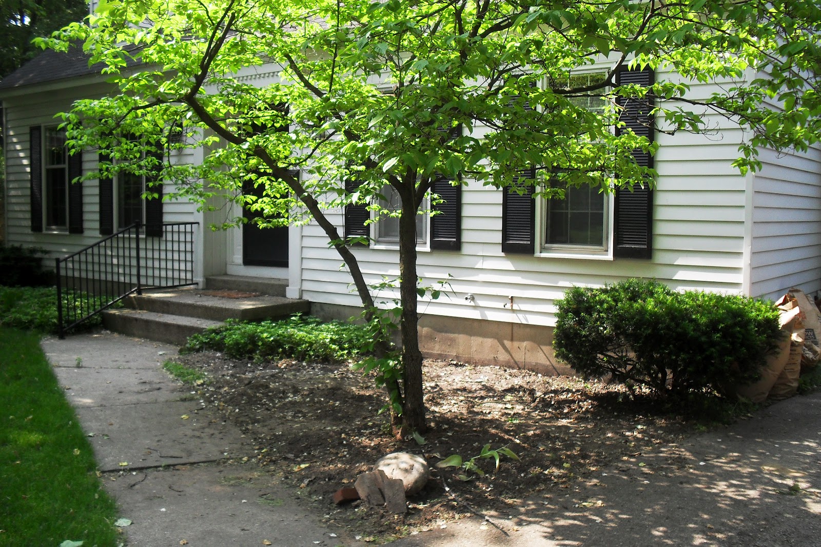 Landscaping Ideas Front Yard Curb Appeal