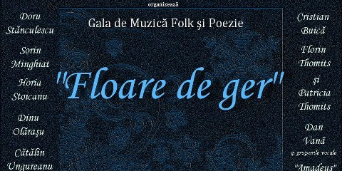 Festivalul de muzică folk şi poezie „Floare de ger”, la Calafat