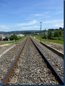 P1030653