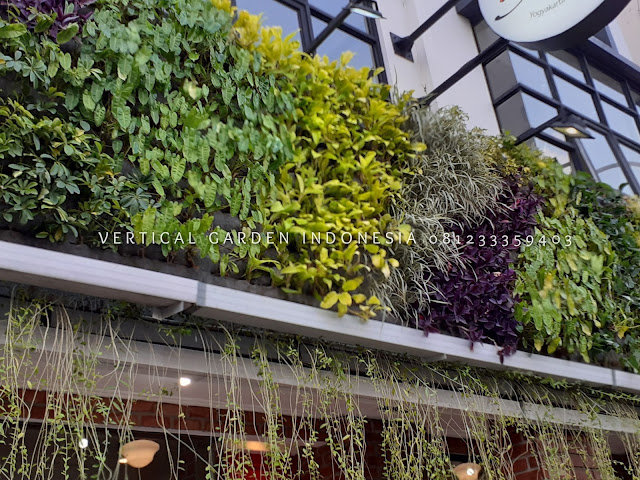 VERTICAL GARDEN INDONESIA SPESIALIS JASA PEMBUATAN VERTICAL GARDEN DI GRESIK DAN DI SELURUH WILAYAH GRESIK DENGAN TENAGA YANG PROFESIONAL DAN DAPAT DI PERCAYA YANG SELALU MENGUTAMAKAN SEBUAH MUTU DAN KUALITAS PEMASANGAN VERTICAL GARDEN/TAMAN DINDING, JASA TUKANG TAMAN VERTICAL GRESIK, JASA VERTICAL GARDEN GRESIK