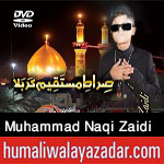 http://www.humaliwalayazadar.com/2017/09/syed-muhammad-naqi-zaidi-nohay-2018.html