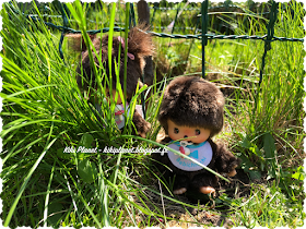 kiki bebichhichi monchhichi cache-cache, toys, vintage