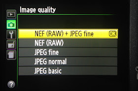 Camera RAW and JPEG setting
