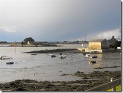 2009_112929nov20090050