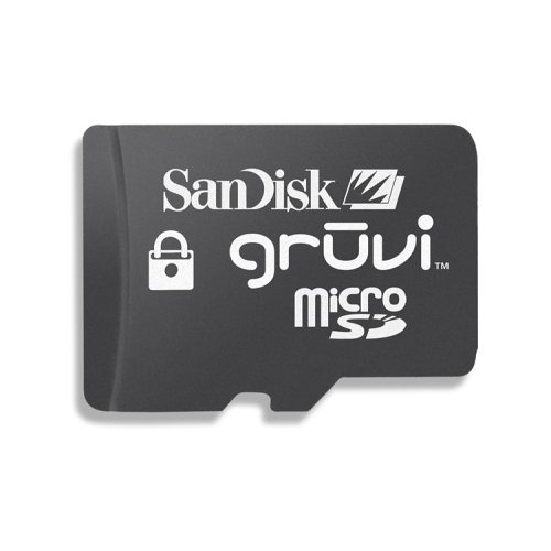 SanDisk Gruvi SDSDQT-256-G4OEAA Micro SD Card (Rollling Stones A Bigger Bang, Retail Package)
