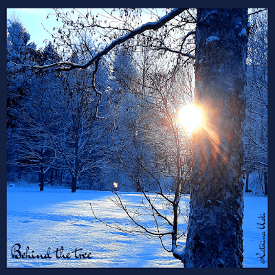 Behind the tree