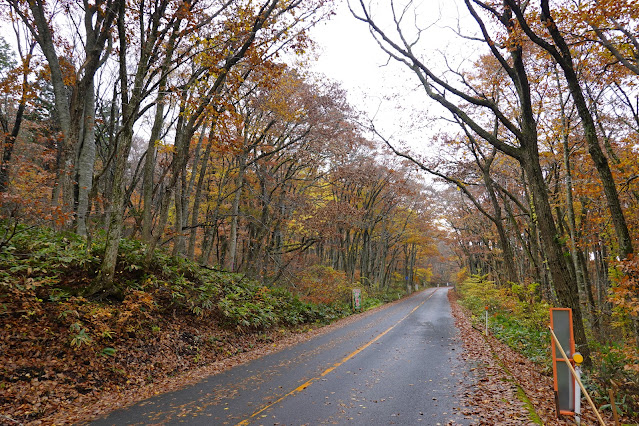 鳥取県道45号倉吉江府溝口線（大山環状道路）