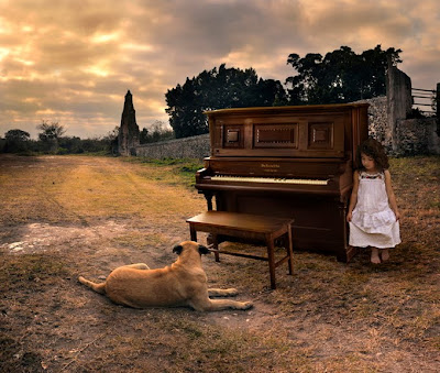 Imágenes fantásticas y creativas de Tom Chambers