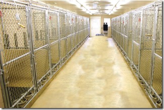 chainlink interior dog kennels