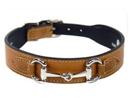 Your Dog And Fashion With Designer Dog Collars
