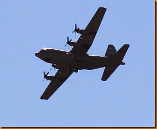 IMG_6320