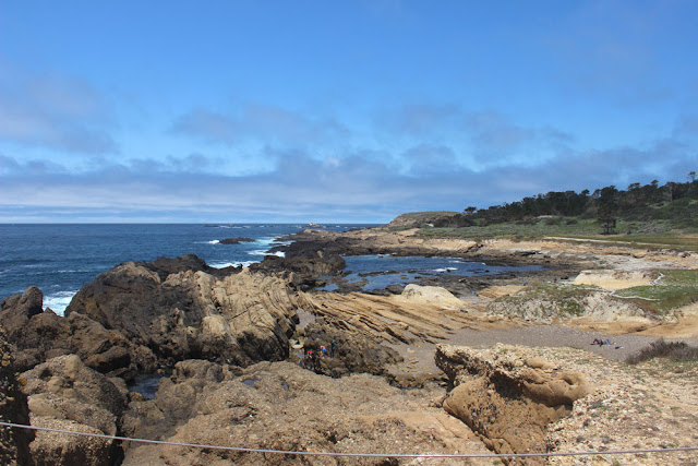 Point Lobos State Reserve, Cypress Trail, Headland Cove, Cypress Cove