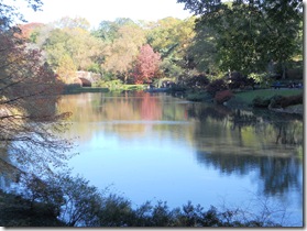 DSCN0971