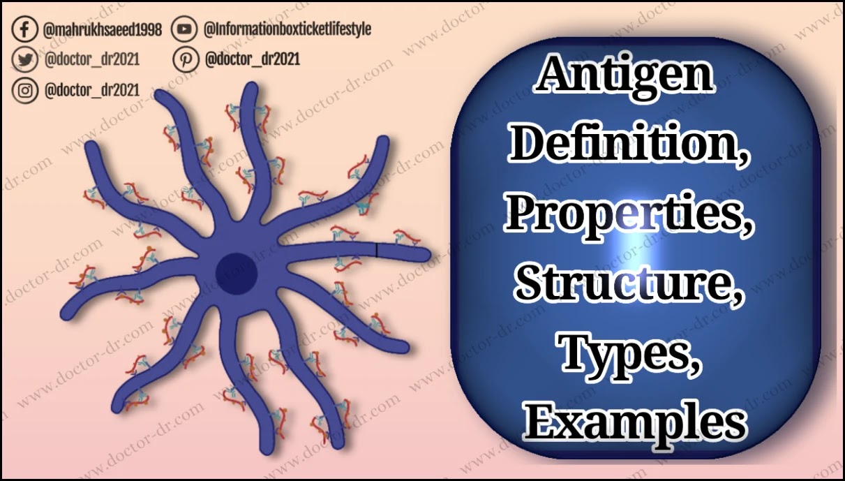 Antigen - Definition, Properties, Structure, Types, Examples