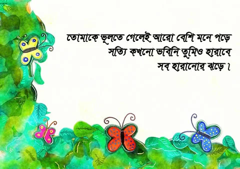 Bengali Shayari With Picture