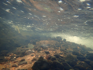 Olumpus TG-6 underwater picture