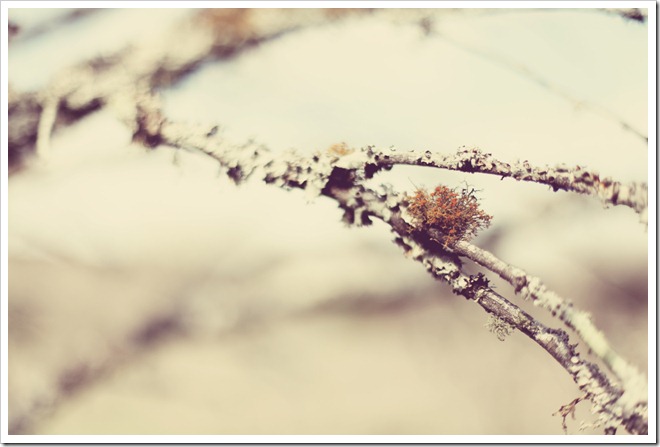 Weekend Mar 4 113-2