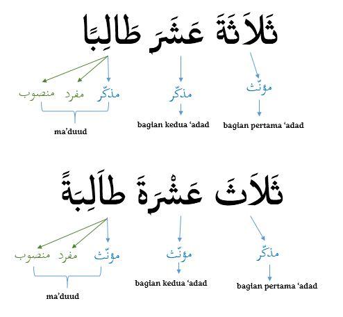 ketentuan bilangan 13 sampai 19 dan contoh kalimat bahasa arab