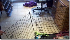 2011-02-08_16-39-23_84