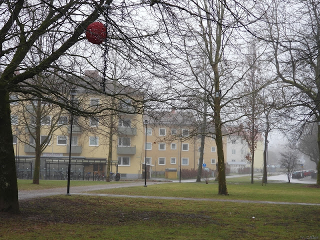 Nästan lite vår i luften redan.